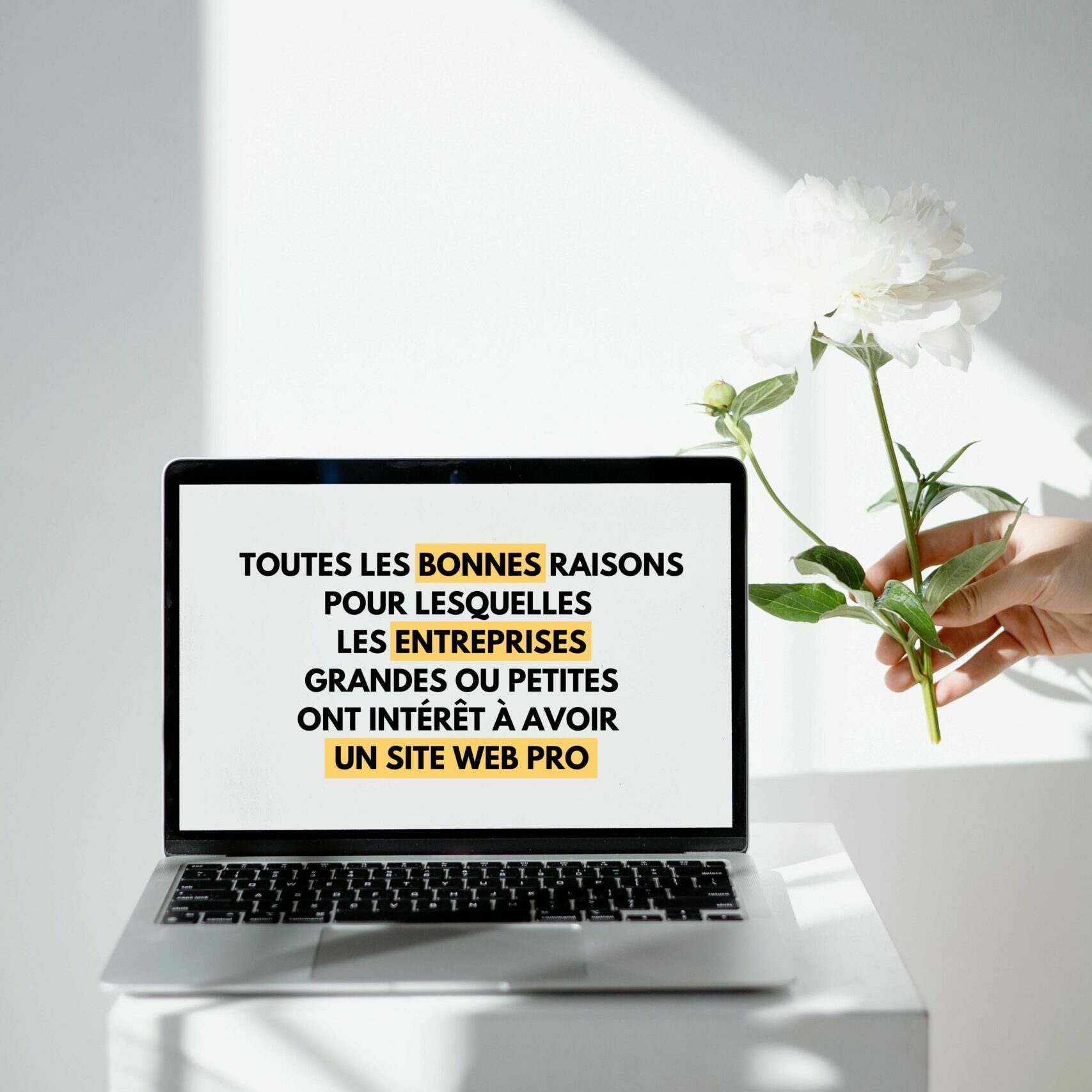 Création de site web micro entreprise, maxi bénéfices
